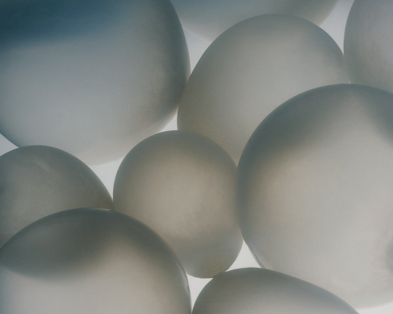 Hydrated silica in Perlae toothpaste